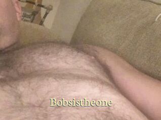 Bobsistheone