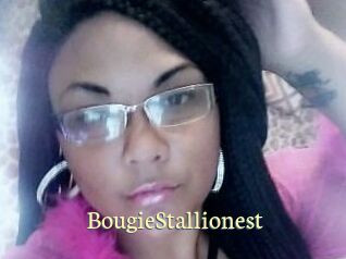 BougieStallionest