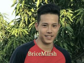 BriceMarsh Porn str8