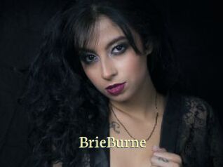 BrieBurne Porn str8