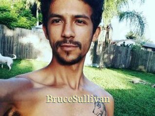 Bruce_Sullivan Porn str8