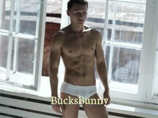 BucksBunny