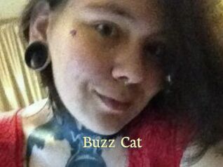 Buzz_Cat