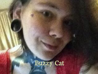 Buzzy_Cat Porn str8