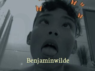 benjaminwilde Porn str8