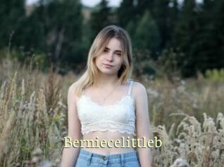 Berniecelittleb