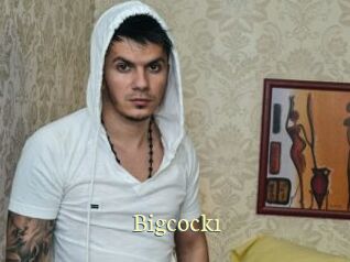 bigcock1 Porn str8