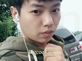 Bigcock214