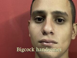 Bigcock_handsomes