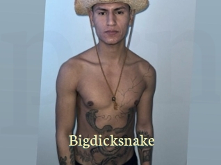 bigdicksnake Porn str8