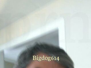 bigdog614 Porn str8