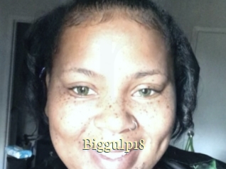 Biggulp18
