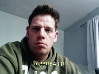 bigguy43311 Porn str8