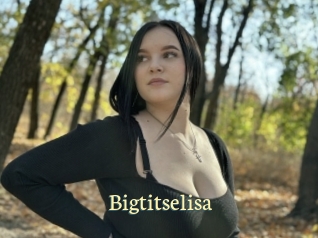 Bigtitselisa