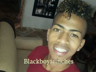 Blackboy12inches