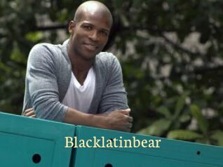 blacklatinbear Porn str8