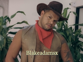 blakeadamsx Porn str8