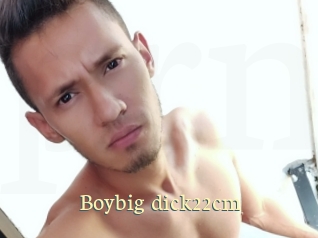 Boybig_dick22cm