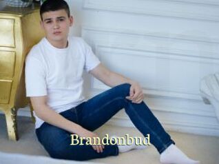 Brandonbud