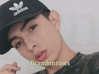 brandonroses Porn str8
