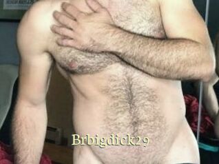 brbigdick29 Porn str8