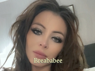 breababee Porn str8