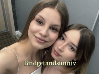 Bridgetandsunniv