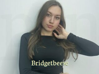 bridgetbeese Porn str8