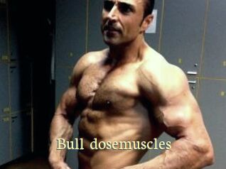 Bull_dosemuscles