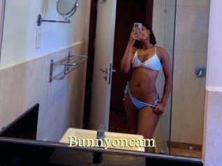 Bunnyoncam