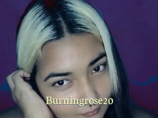 burningrose20 Porn str8