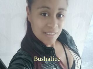 Bushalice