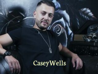 CaseyWells Porn str8