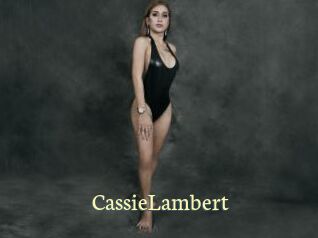 CassieLambert Porn str8