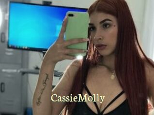 CassieMolly Porn str8