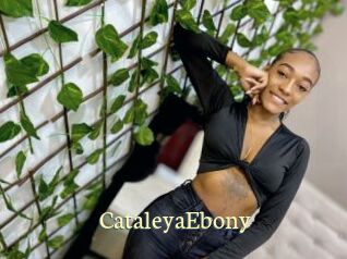 CataleyaEbony