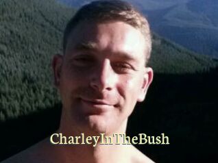 CharleyInTheBush Porn str8