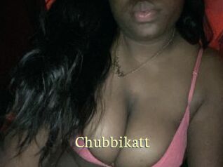 Chubbikatt