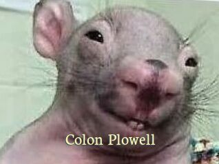 Colon_Plowell