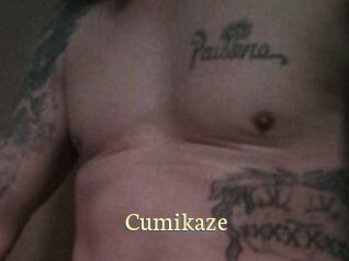 Cumikaze Porn str8