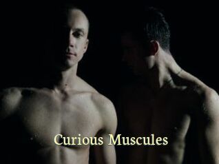 Curious_Muscules