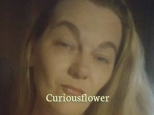 Curiousflower
