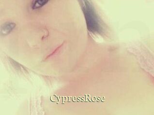 Cypress_Rose