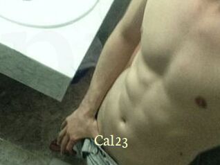 Cal23