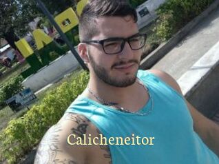 Calicheneitor
