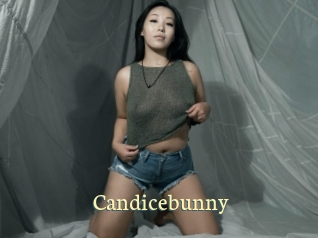 Candicebunny
