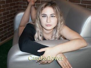 Candieflower