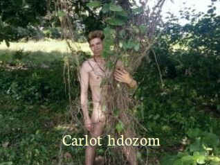 Carlot_hdozom