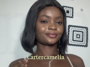 Cartercamelia