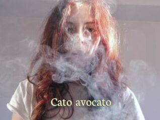 Cato_avocato